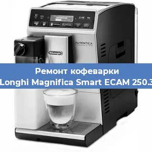 Замена прокладок на кофемашине De'Longhi Magnifica Smart ECAM 250.33 S в Ижевске